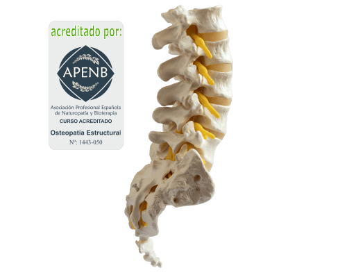 CURSO OSTEOPATIA ESTRUCTURAL